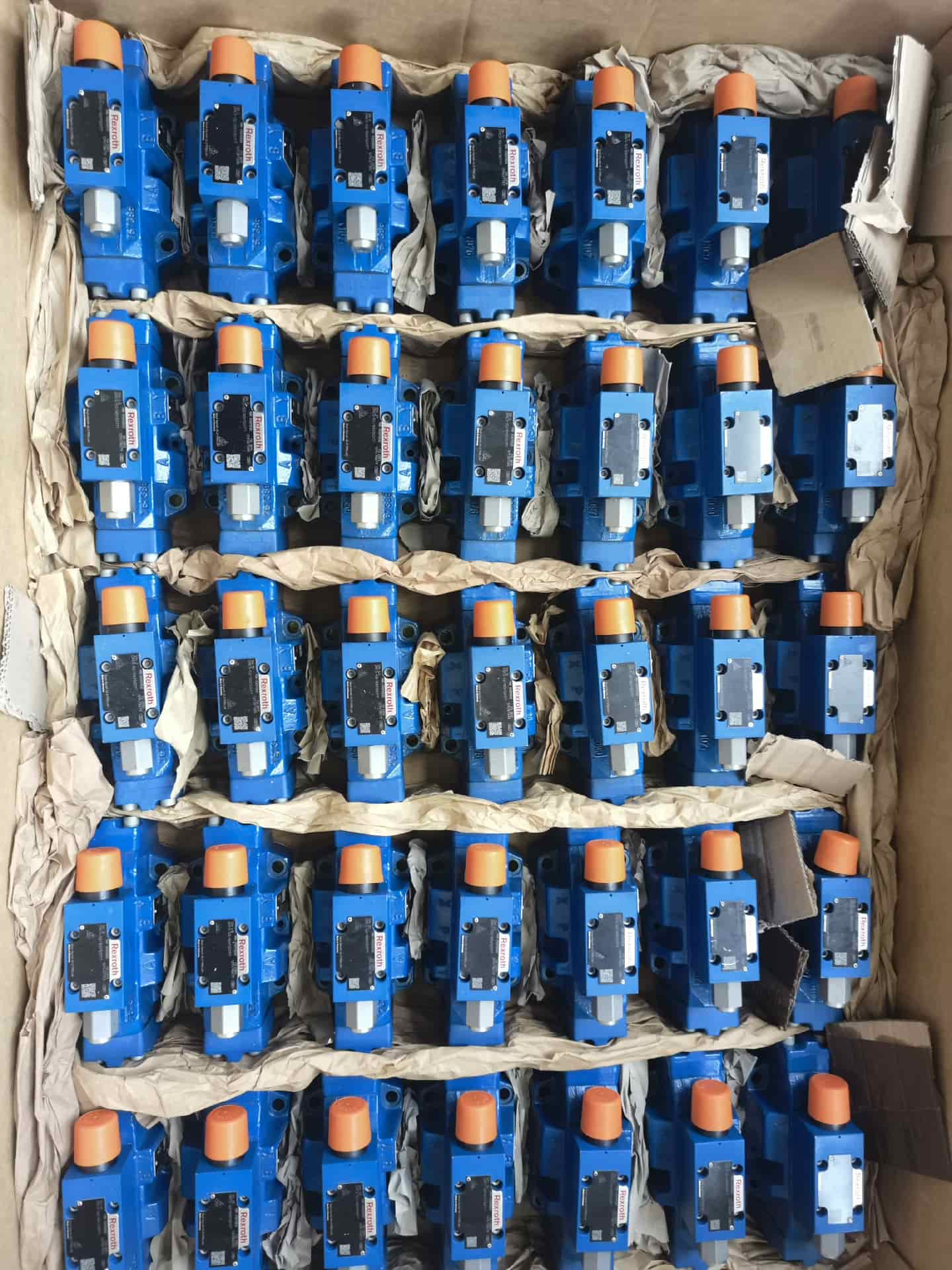 Bosch Rexroth – servomoteur d'origine, soupape de réduction de pression, moteur servo G24K31/F1V, expédition rapide